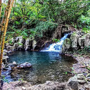Hamakua Pepeekeo